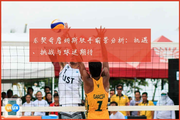 东契奇詹姆斯联手前景分析：机遇、挑战与球迷期待