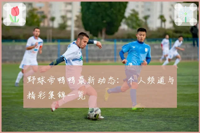 野球帝鸭鸭最新动态:个人频道与精彩集锦一览