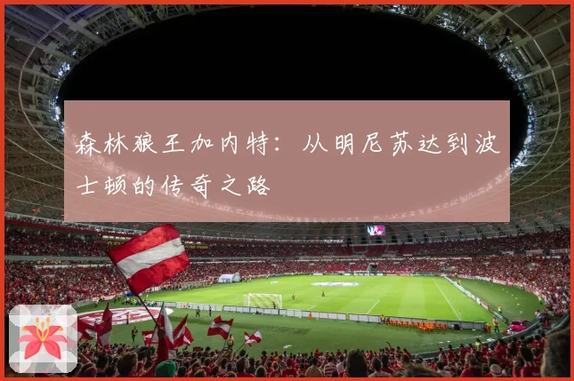 森林狼王加内特：从明尼苏达到波士顿的传奇之路